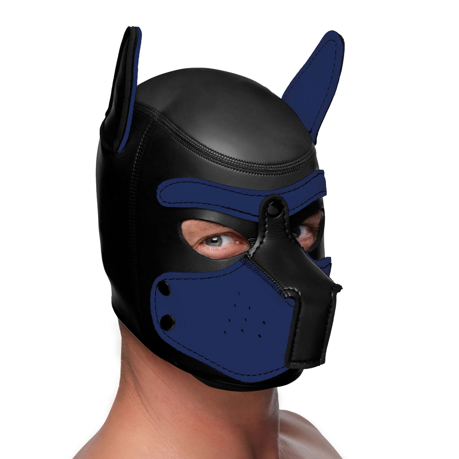 Spike Neoprene Puppy Hood - Blue MS-AG292-BLU