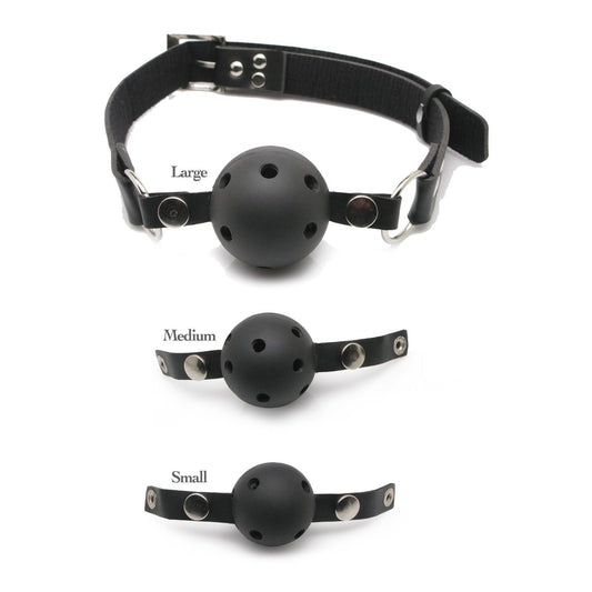 Fetish Fantasy Series Ball Gag Training System PD3841-00